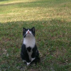 Meet your Posher, Linda